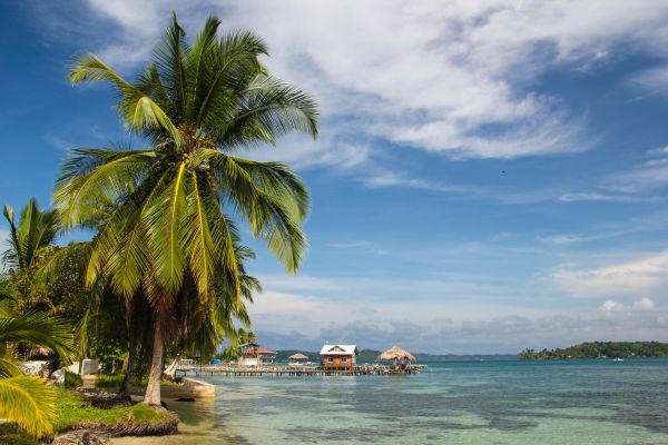 Circuit Odyssée Panaméenne : de Panama City à l'archipel de Bocas del Toro pas cher photo 45