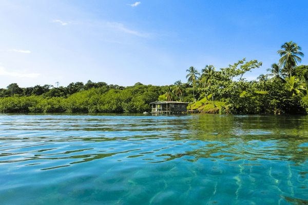 Circuit Odyssée Panaméenne : de Panama City à l'archipel de Bocas del Toro pas cher photo 50