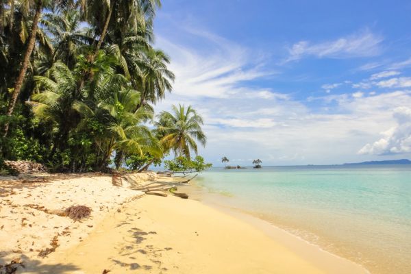 Circuit Odyssée Panaméenne : de Panama City à l'archipel de San Blas pas cher photo 44