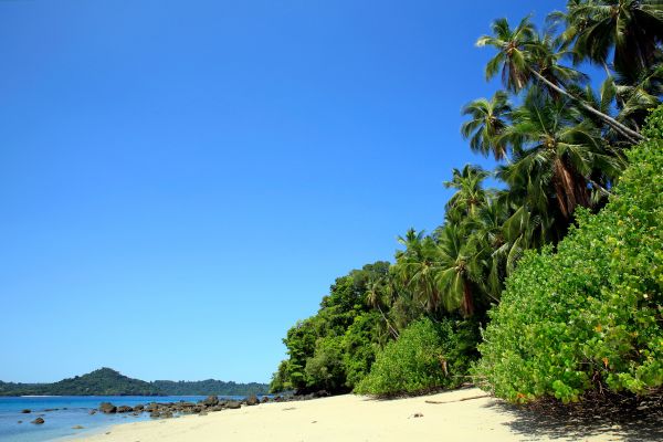 Circuit Odyssée Panaméenne : de Panama City à l'archipel de San Blas pas cher photo 51