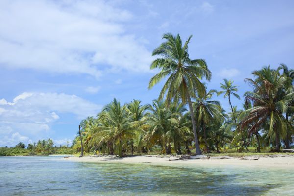 Circuit Odyssée Panaméenne : de Panama City à l'archipel de San Blas pas cher photo 52