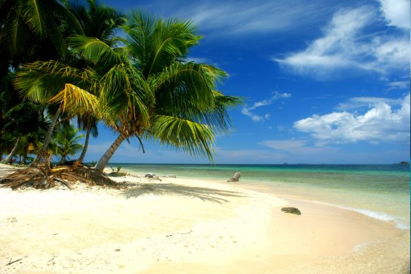 Circuit Odyssée Panaméenne : de Panama City à l'archipel de San Blas pas cher photo 59