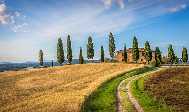 Autotour Terre Toscane 3* pas cher photo 10