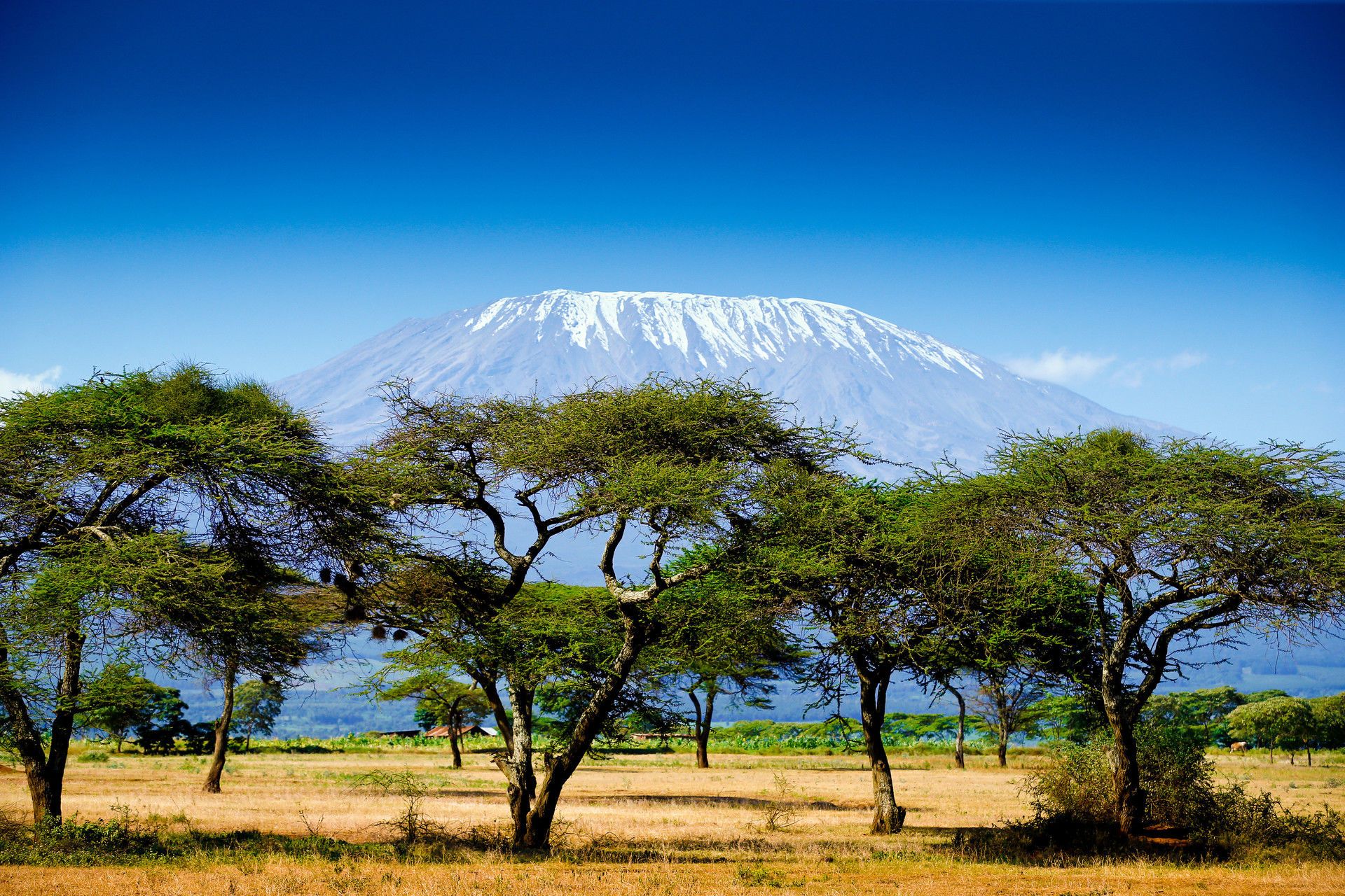 Circuit du Mont Kilimandjaro à l'Océan Indien pas cher photo 1