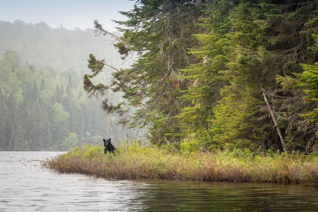 Séjour Multiactivités Découverte de la Mauricie en Liberté 3* pas cher photo 11