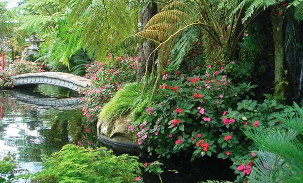 Circuit Au Coeur de Madère 5* pas cher photo 6