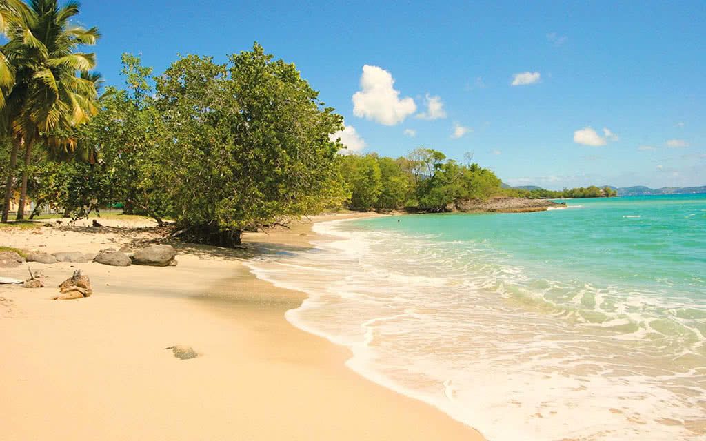 Combiné Martinique Guadeloupe Hôtel Karibéa Amandiers 3* et Hôtel Karibéa Le Clipper 3* pas cher photo 5