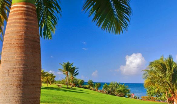 Combiné Pierre et Vacances Martinique / Guadeloupe 3* pas cher photo 4