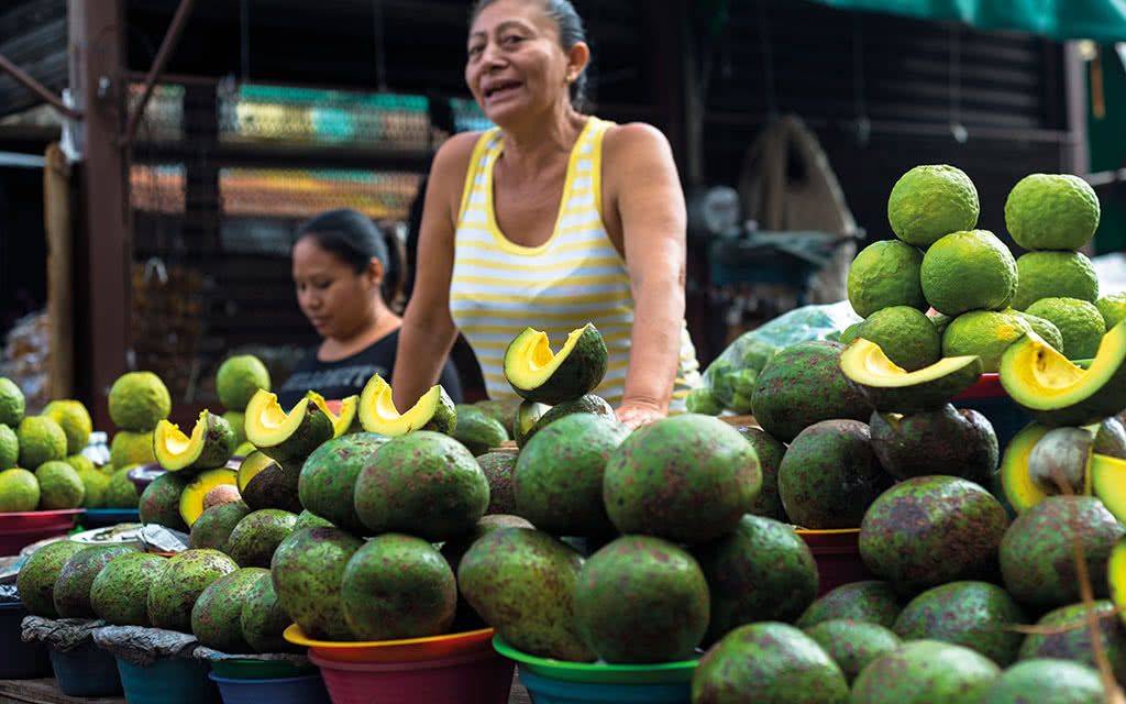 Autotour Péninsule du Yucatan 3* - 5 Nuits pas cher photo 10
