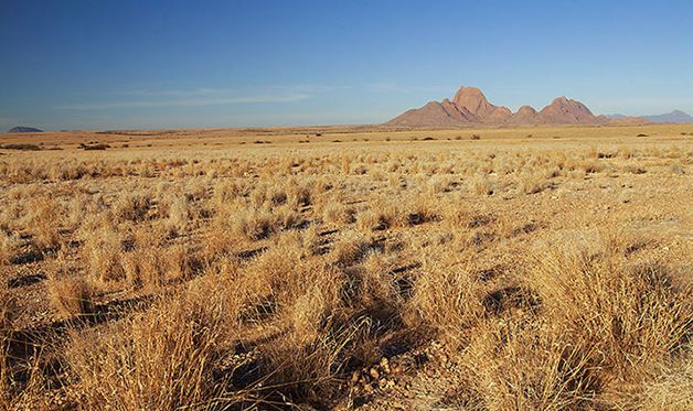 Circuit Pays Himba, Dunes et Réserves de Namibie pas cher photo 5
