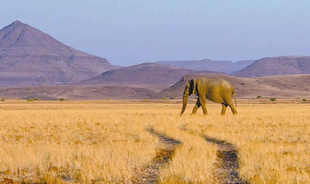 Circuit Pays Himba, Dunes et Réserves de Namibie pas cher photo 13