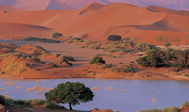 Circuit Pays Himba, Dunes et Réserves de Namibie pas cher photo 17