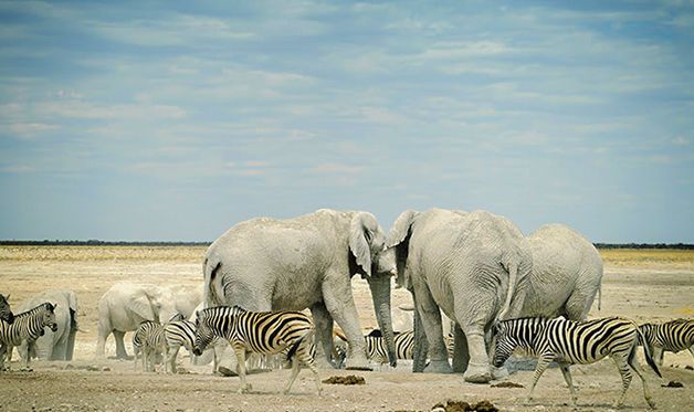 Circuit Visage de Namibie 3* pas cher photo 2