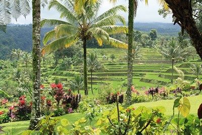 Combiné Ubud et Plage 4* pas cher photo 5