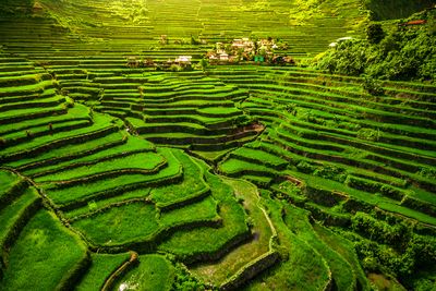 Circuit De Manille aux Rizières de Banaue 3* pas cher photo 1