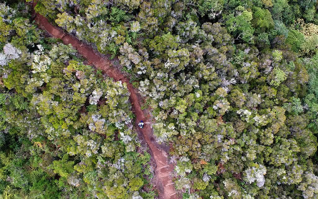Circuit Randonnée à l'Ile de la Réunion 2* pas cher photo 6