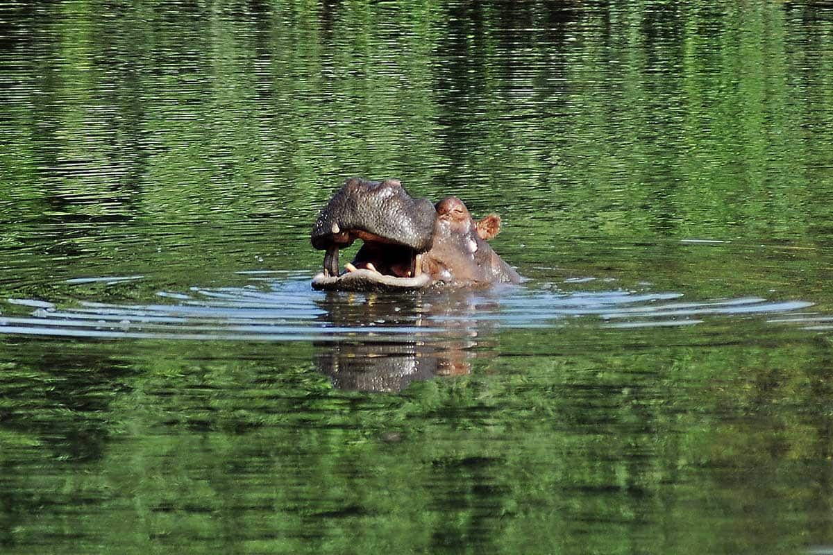 Circuit Grand Tour du Sénégal 3* - 14 nuits pas cher photo 10