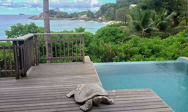 Combiné 3 îles : Mahé / Praslin / La Digue - Indian Ocean Lodge & La Digue Lodge & Carana Beach 3* pas cher photo 18