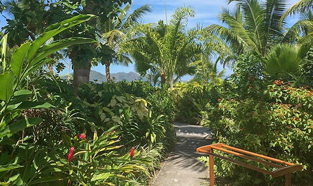 Combiné 3 îles : Mahé / Praslin / La Digue - Indian Ocean Lodge & La Digue Lodge & Carana Beach 3* pas cher photo 22