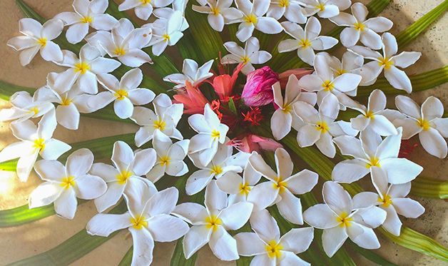 Combiné 2 îles : Mahé / Praslin - Hôtel Valmer 3* & Hôtel Paradise Sun 4* pas cher photo 23