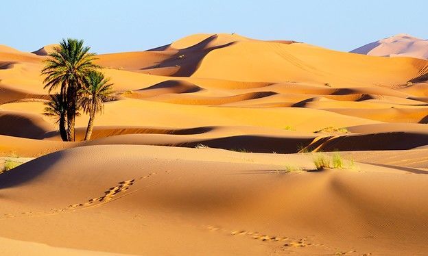 Circuit Marrakeck + Désert de Merzouga pas cher photo 11