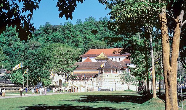 Combiné Circuit Ile Merveilleuse 3* avec extension à l'Hôtel Maalu Maalu Resort 5* - 10 nuits pas cher photo 1