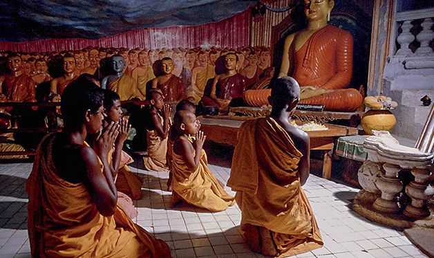 Combiné Circuit Ile Merveilleuse 3* avec extension à l'Hôtel Maalu Maalu Resort 5* - 10 nuits pas cher photo 6