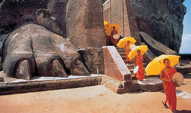 Combiné Circuit Ile Merveilleuse 3* avec extension à l'Hôtel Maalu Maalu Resort 5* - 10 nuits pas cher photo 8