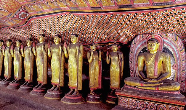 Combiné Circuit Ile Merveilleuse 3* avec extension à l'Hôtel Maalu Maalu Resort 5* - 10 nuits pas cher photo 12