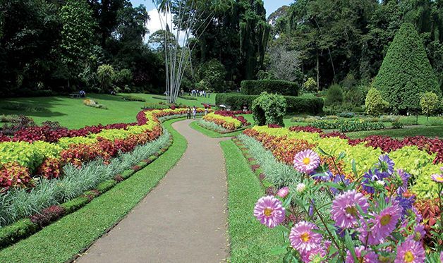 Combiné Circuit Ile Merveilleuse 4* et extension à l'Hôtel Maalu Maalu Resort 5* - 10 nuits pas cher photo 6