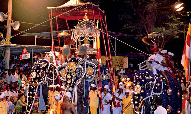 Combiné Circuit Ile Merveilleuse 4* et extension à l'Hôtel Maalu Maalu Resort 5* - 10 nuits pas cher photo 7