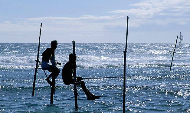 Combiné Circuit Ile Merveilleuse 4* et extension à l'Hôtel Maalu Maalu Resort 5* - 10 nuits pas cher photo 9