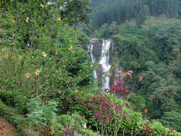 Combiné Sri Lanka 3* et Maldives 4* pas cher photo 3