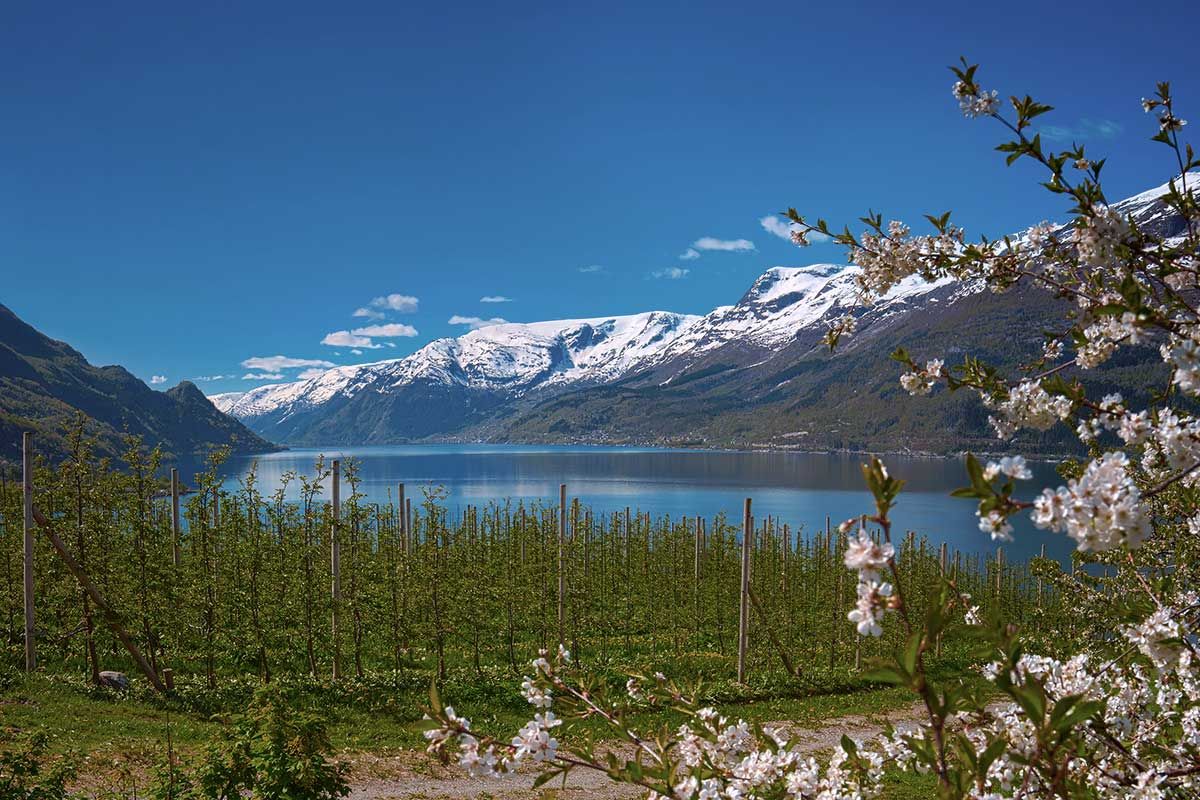 Circuit Grand Tour Des Fjords 3*/4* pas cher photo 3