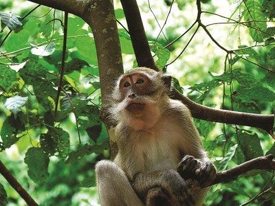 Kappa Circuit Les Perles du Sud 3-4-5* et séjour à Phuket 5* pas cher photo 3