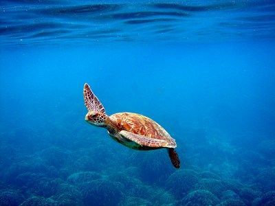 Kappa Circuit Les Perles du Sud 3-4-5* et séjour à Phuket 5* pas cher photo 5