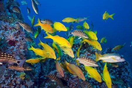 Kappa Circuit Les Perles du Sud 3-4-5* et séjour à Phuket 5* pas cher photo 6