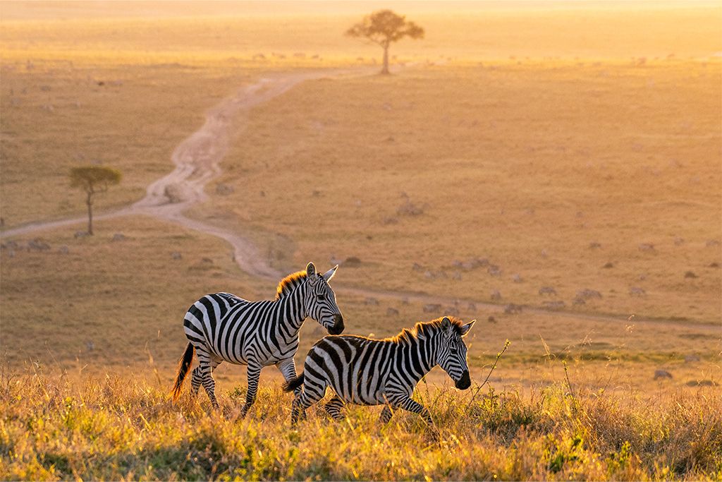 Hôtel Leopard Beach Resort 5* et 2 nuits safari pas cher