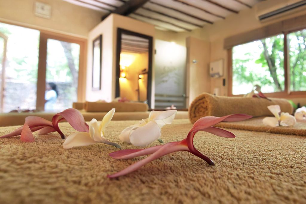 Hôtel Leopard Beach Resort 5* et 2 nuits safari pas cher photo 12