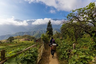 Circuit Des Rizières de Sapa à la Baie d'Halong 3* pas cher photo 1