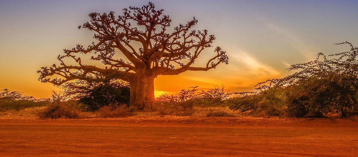 Kappa Circuit aux Couleurs du Sénégal 2* et séjour Kappa Club Royal Horizon Baobab 4* pas cher photo 7