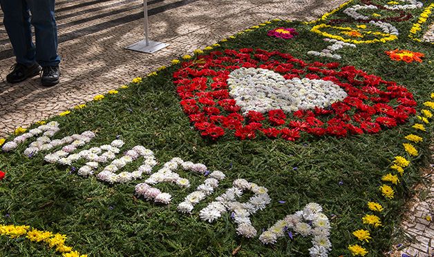 Circuit La Fête des Fleurs 4* pas cher photo 1