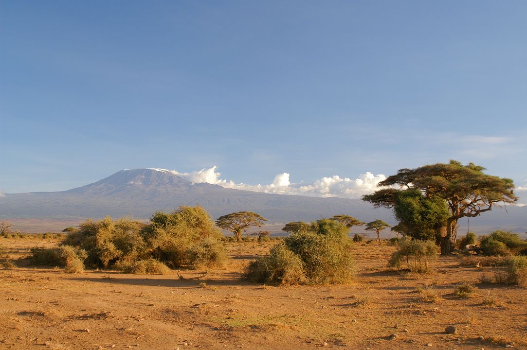 Safari Féeries d'Afrique 3* pas cher photo 20