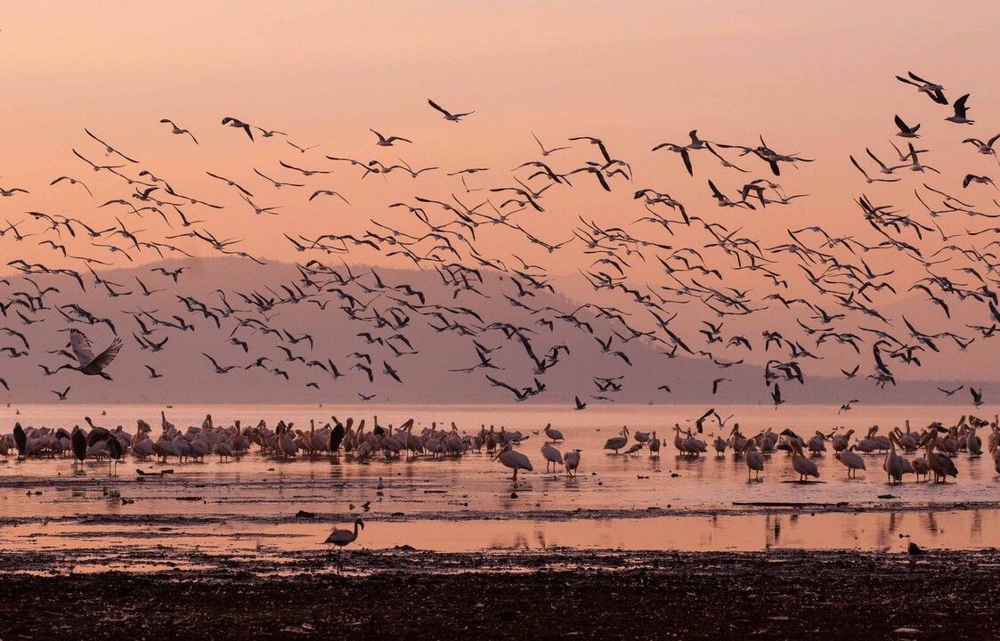 Safari Privatif Féeries d'Afrique 3* pas cher photo 2