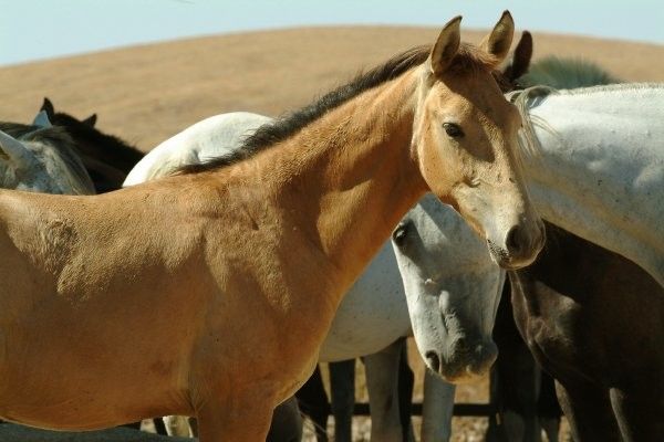 Circuit Toute l'Andalousie 4* pas cher photo 12