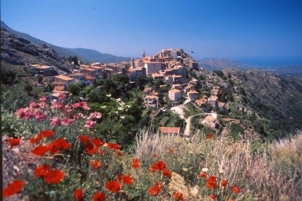 Circuit Majestueuses Terres Corses 3* pas cher photo 17