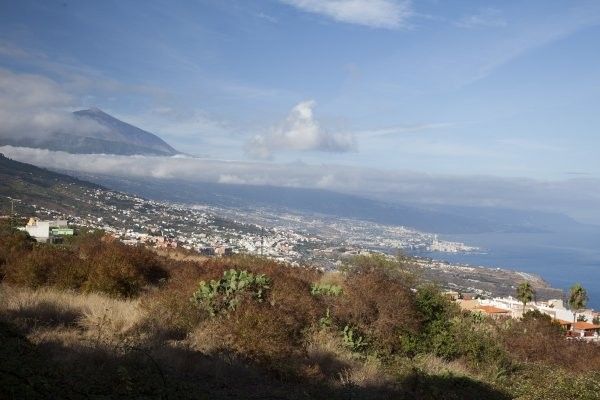 Combiné Circuit Tour Canario et Séjour Hôtel Framissima H10 Costa Adeje Palace 4* pas cher photo 11