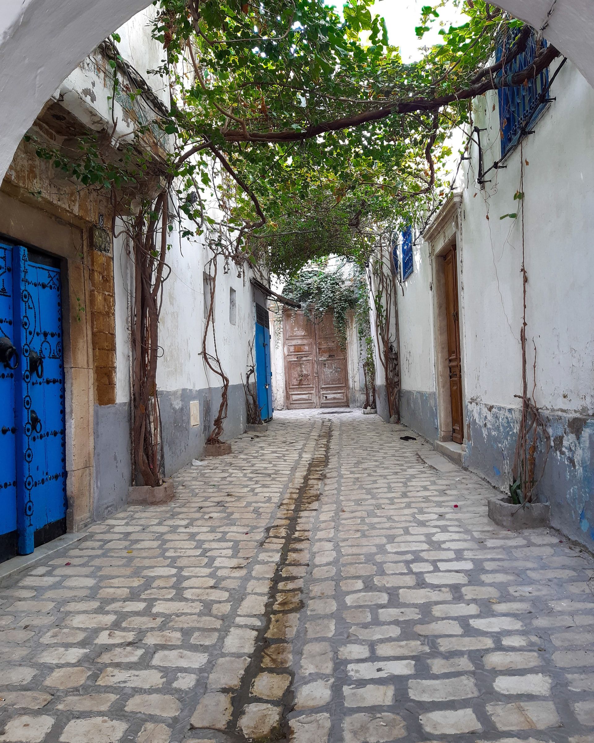 Circuit Douceur Authentique 4* pas cher photo 5