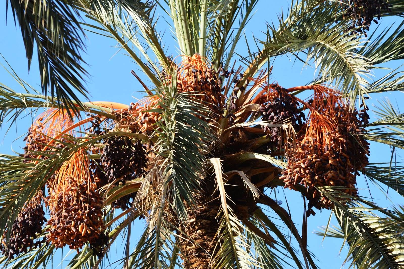 Circuit Douceur Authentique 4* pas cher photo 14