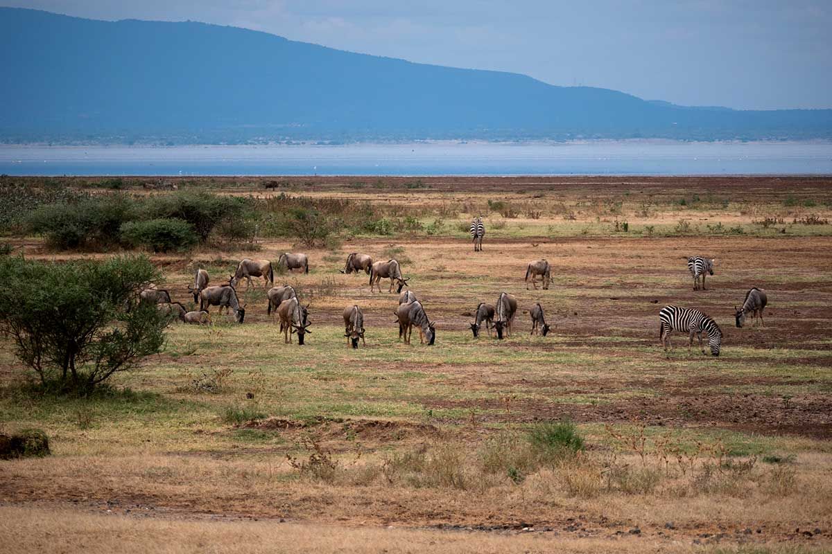 Circuit Inoubliable Tanzanie 3* pas cher photo 5